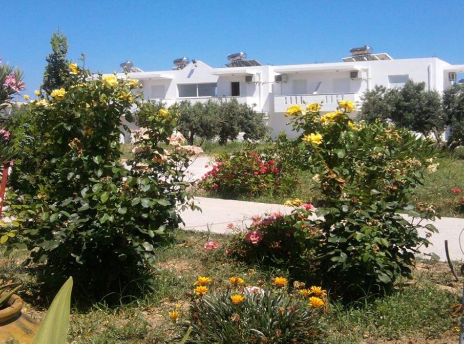 Nikos 2 Studios & Apartments Kardamena  Room photo